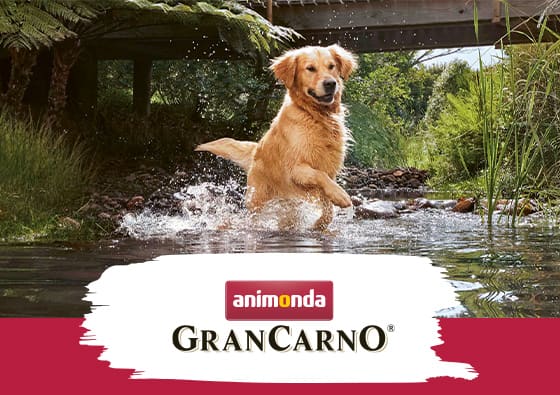 GranCarno®