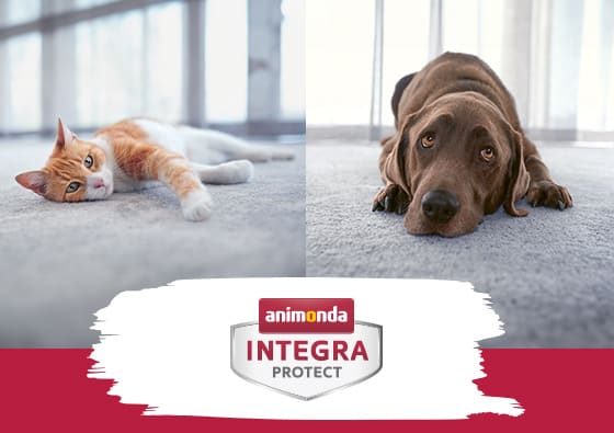 Integra Protect