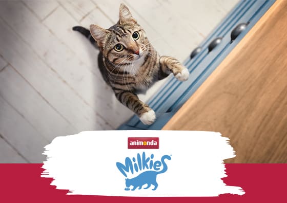 Milkies